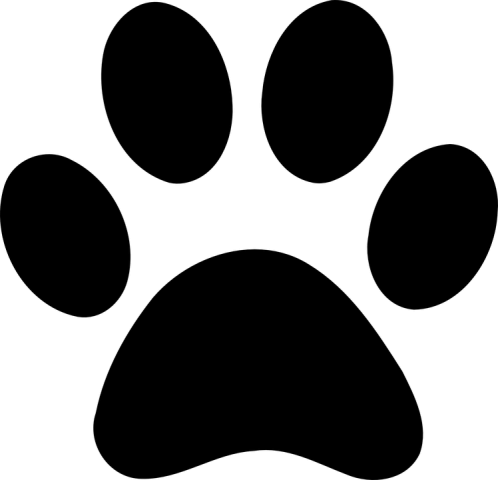 paw-155322_960_720.png
